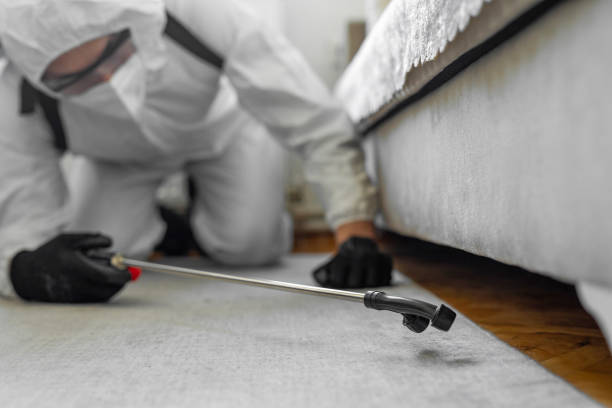 Professional Bed Bug Control technician working in Kotlik, AK