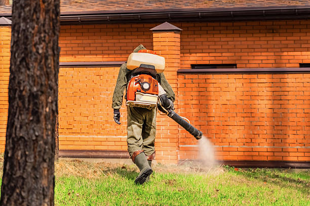 Trusted Fumigation Services service in Kotlik, AK - Nex Pest Control